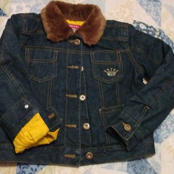 - Bongo - Picture 2 of 6